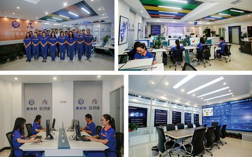 双轮驱动 两个文件揭示我国安全技术服务行业与信息技术咨询服务的融合发展趋势